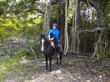 India-Rajasthan-Udaipur Riding Safari in Rajasthan